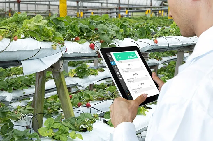 Agriculture and Internet of Things
