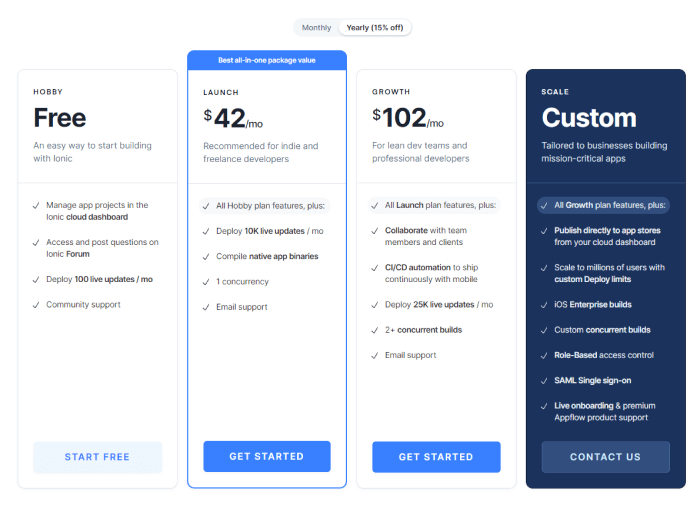 Ionic pricing details
